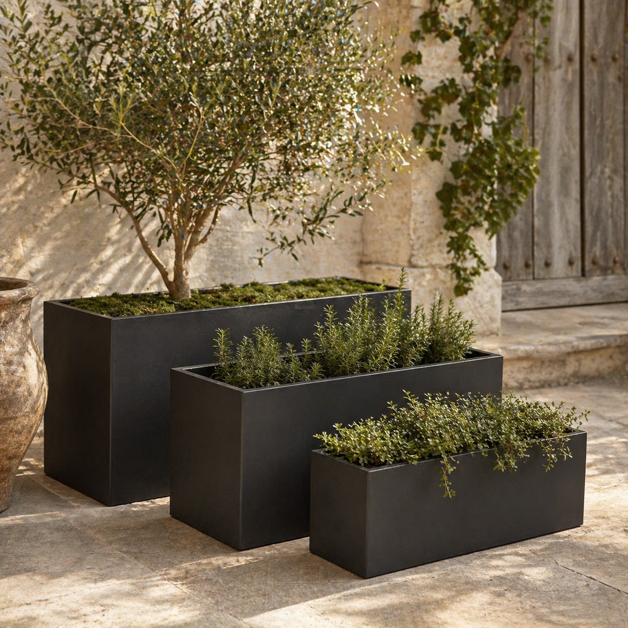 Cedar Trough Black