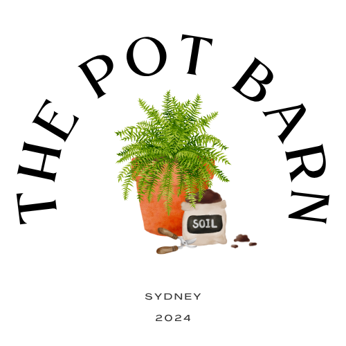 Pot Barn