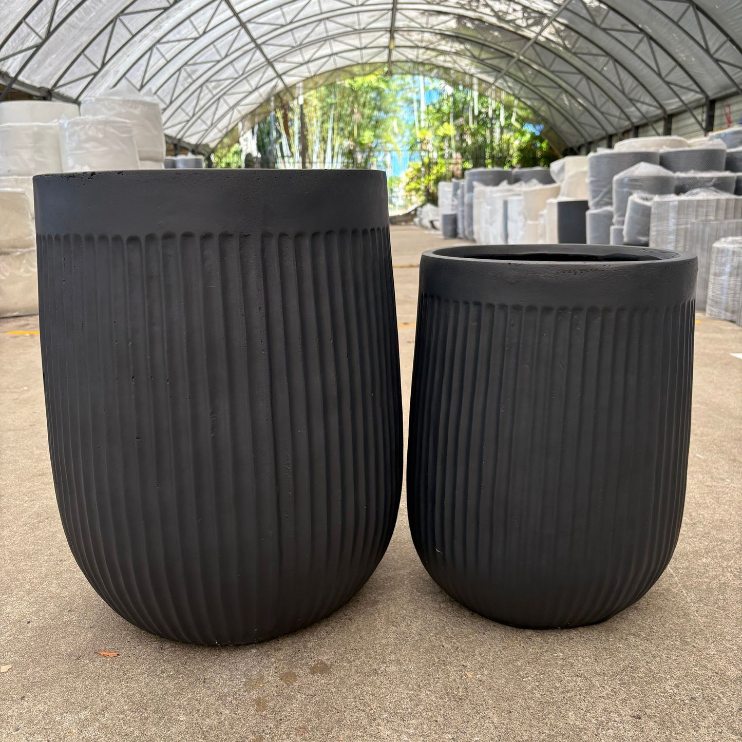 Tuscan Ribbed Belly Black