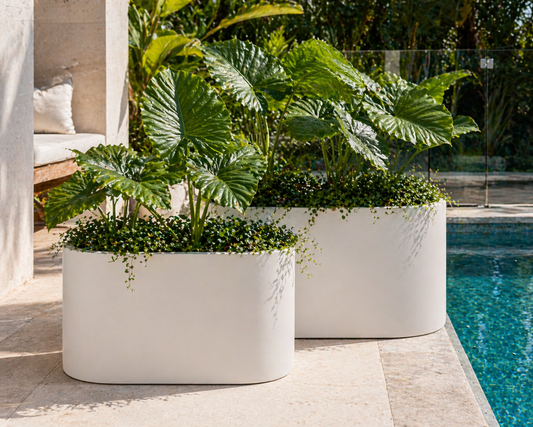 Cedar Round Trough White