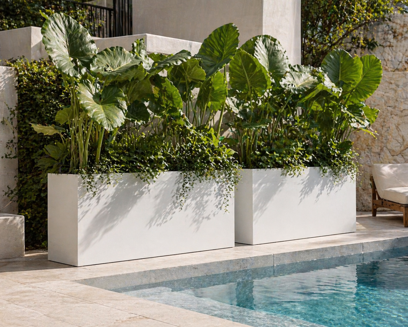 Cedar Trough White