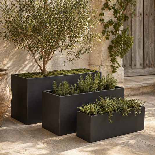 Cedar Trough Black
