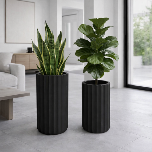 Tuscan Fluté Black