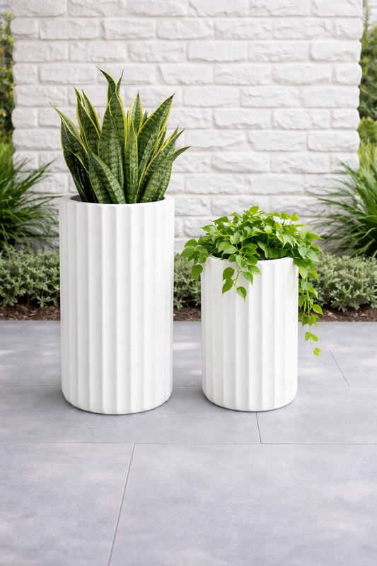 Tuscan Fluté White