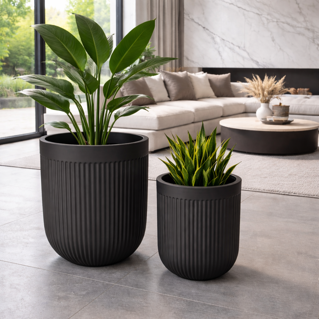 Tuscan Ribbed Belly Black