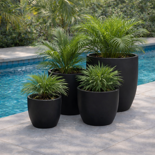 Tuscan Wide Egg Black