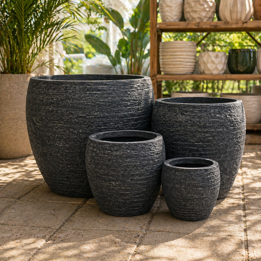 Senera Belly Egg Tex Graphite