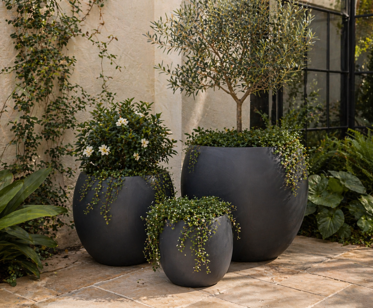 Tuscan Ball Black