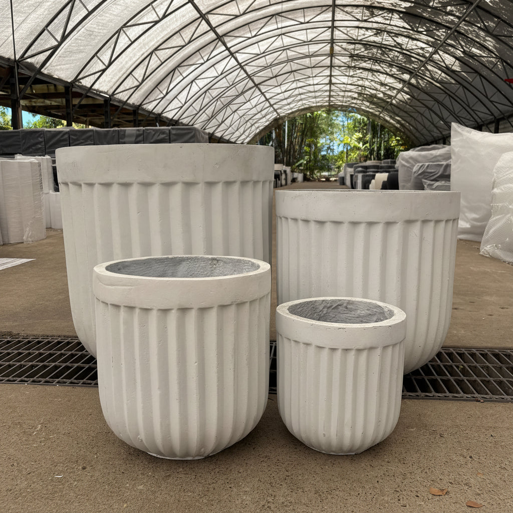 Tuscan Ribbed Egg White