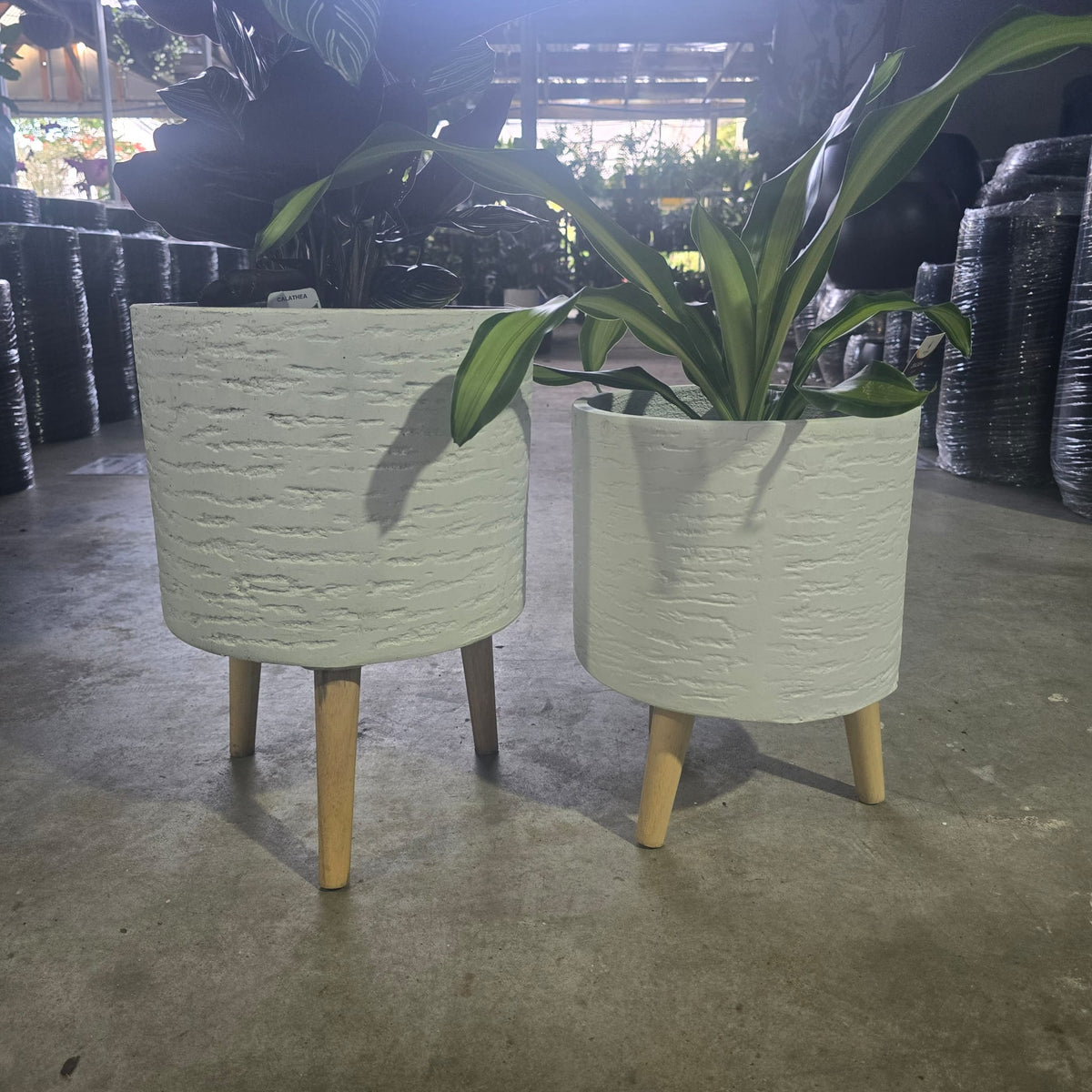 Tuscan Cylinder Tripod White